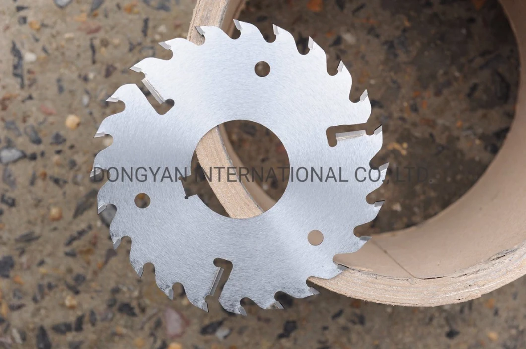 Tct Multi-Ripping Saw Blade with Rakes